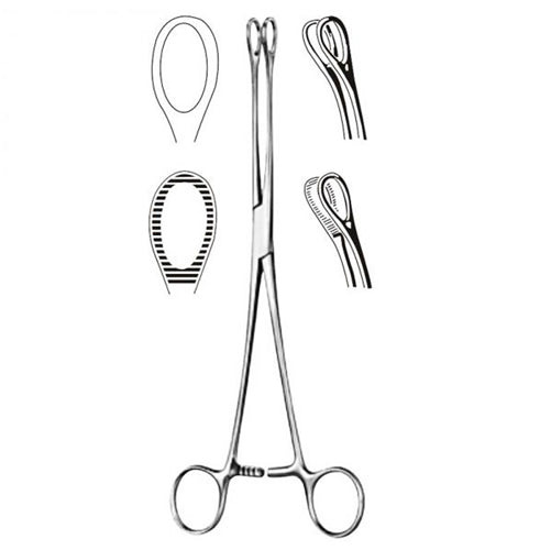 Foerster Sponge Forcep- 7  Serrated (Instruments - Forceps) - Img 1