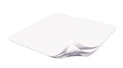 Dignity® Washable Protectors Underpad, 22 x 35 Inch, 1 Each (Underpads) - Img 1