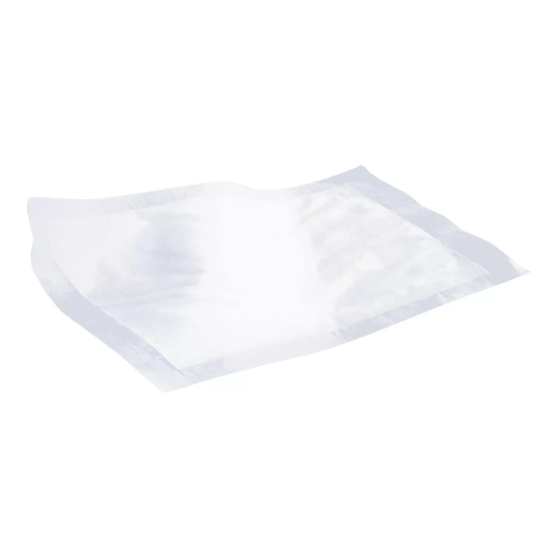 Tranquility ThinLiner® Skin Fold Pad, 6 x 14 Inch, 1 Pack of 10 (Skin Care) - Img 2