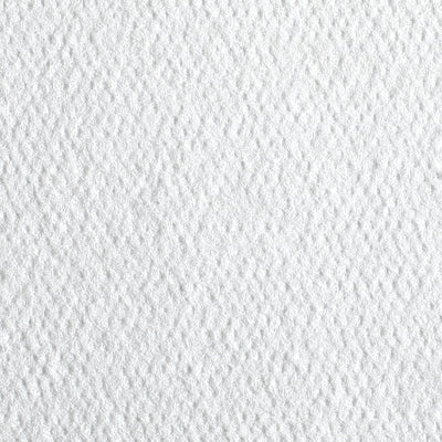 Pacific Blue Select™ Air-laid Bonded Cellulose Washcloth, 1 Case of 1320 (Washcloths) - Img 2