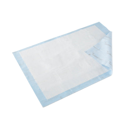 Wings™ Quilted Premium Comfort Maximum Absorbency Low Air Loss Positioning Underpad, 23 x 36 Inch, 1 Case of 72 (Underpads) - Img 1