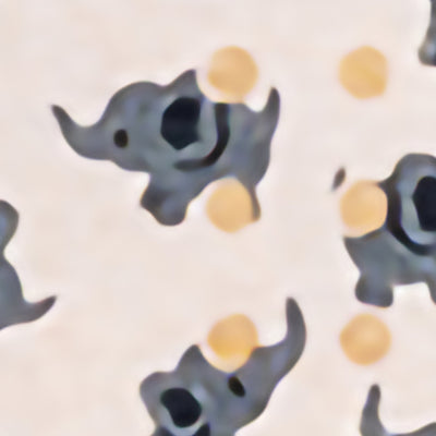 Patch™ Kids (Elephant Design) Adhesive Strip, 3/4 x 3 Inch, 1 Tube (General Wound Care) - Img 10