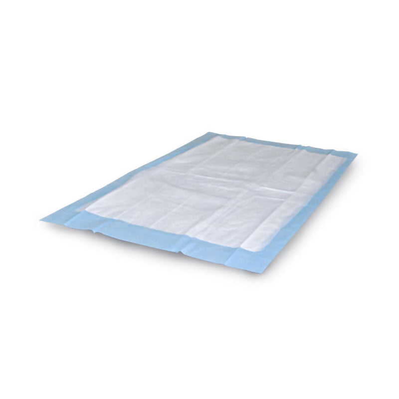SPC™ Super Absorbent Quilted Underpad, 30 x 36 Inch, 1 Case of 100 (Underpads) - Img 2