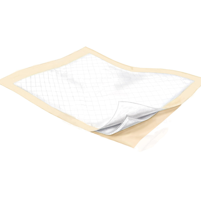 Wings Plus Underpads, Disposable, Heavy Absorbency, Beige, 23 X 36 Inch, 1 Bag of 10 (Underpads) - Img 2