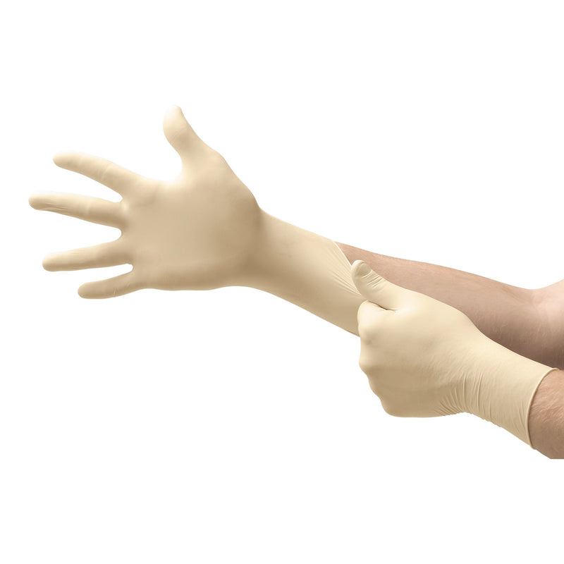 Evolution One® Latex Exam Glove, Medium, White, 1 Case of 1000 () - Img 2