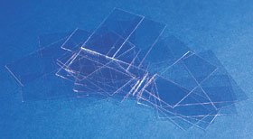 Erie Scientific Cover Glass, 22 x 22 mm, 1 Box of 10 (Laboratory Glassware and Plasticware) - Img 1