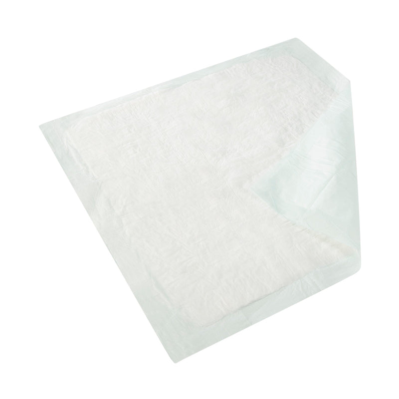 Wings Plus Underpads, Disposable, Heavy Absorbency, Beige, 30 X 30 Inch, 1 Bag of 10 (Underpads) - Img 2