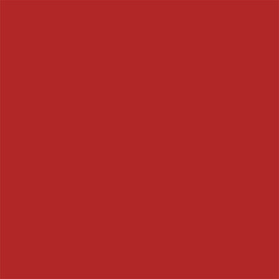 Delta-Lite® Plus Red Cast Tape, 2 Inch x 4 Yard, 1 Box of 10 (Casting) - Img 3