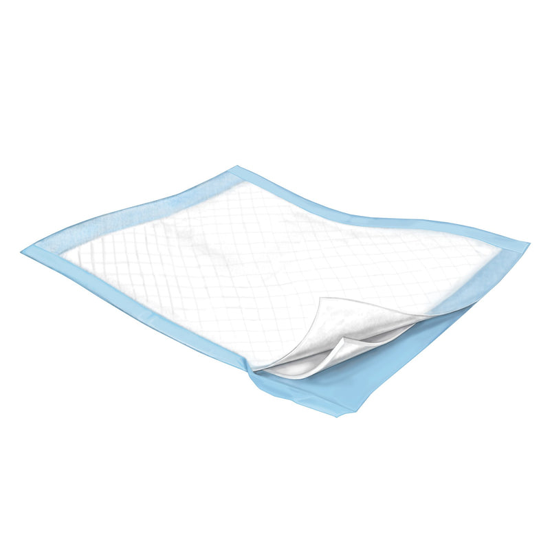 Simplicity Extra Underpad, Disposable, 30 X 30 Inch, Moderate Absorbency, Blue, 1 Case of 10 (Underpads) - Img 2