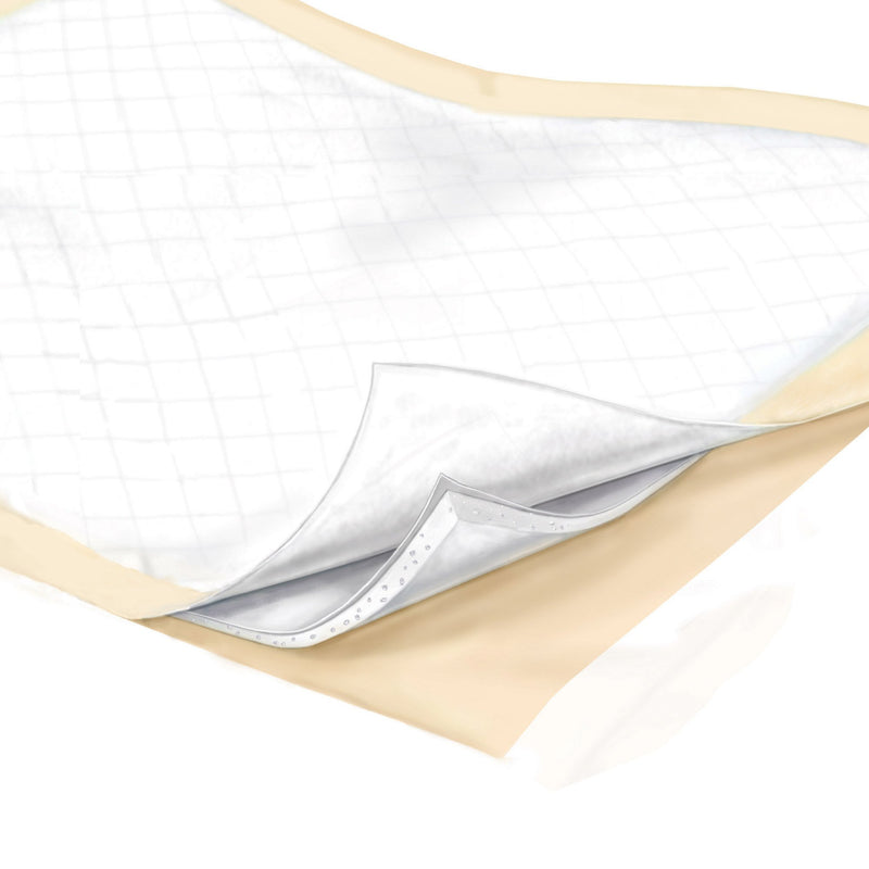 Wings Plus Underpads, Disposable, Heavy Absorbency, Beige, 23 X 36 Inch, 1 Each (Underpads) - Img 3