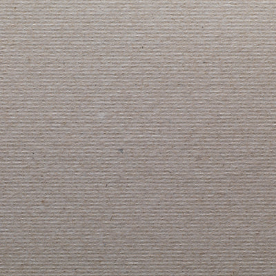 McKesson Quintet AC® Blood Glucose Monitoring System, 1 Each