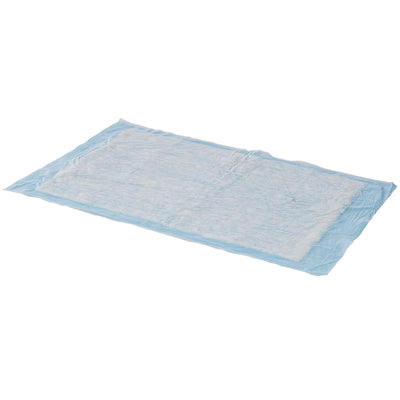 Simplicity Basic Underpad, Disposable, Light Absorbency, 23 X 24 Inch, 1 Bag of 10 (Underpads) - Img 1