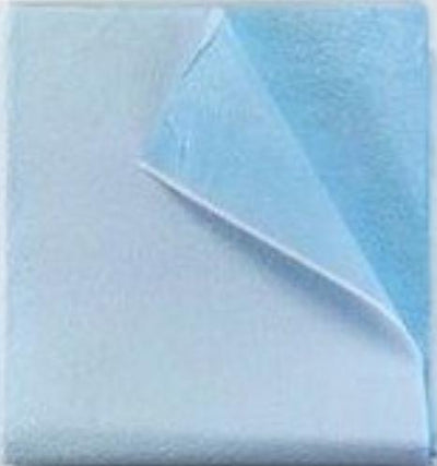 Tidi® Everyday Blue Flat Stretcher Sheet, 40 x 48 Inch, 1 Case of 100 (Sheets) - Img 1