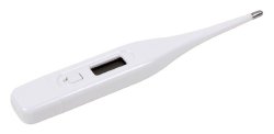 Carex® Apex® Digital Thermometer, 1 Each (Thermometers) - Img 1