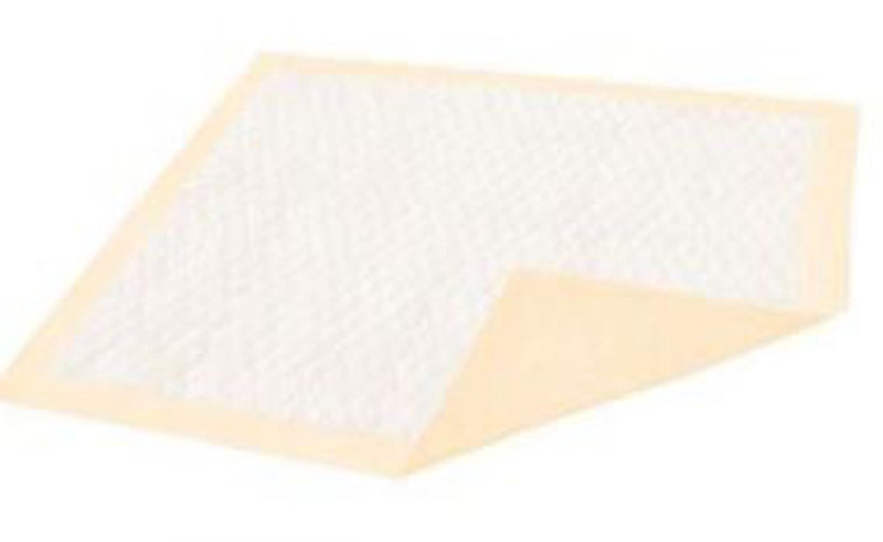 Dignity® Ultrashield® Plus Underpad, 30 X 36 Inch, 1 Pack of 10 (Underpads) - Img 1